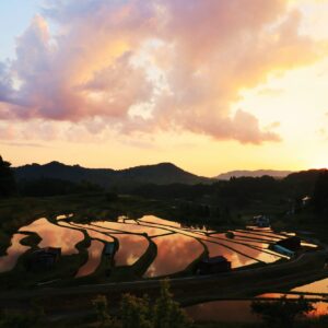 中須の棚田(周南市)